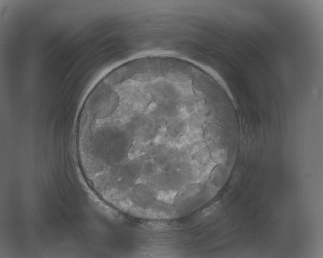 X0000080670911200701121629