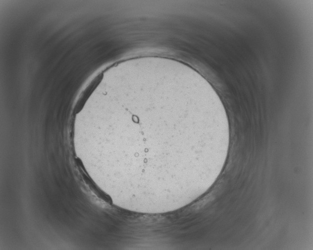 X0000080670912200701121629