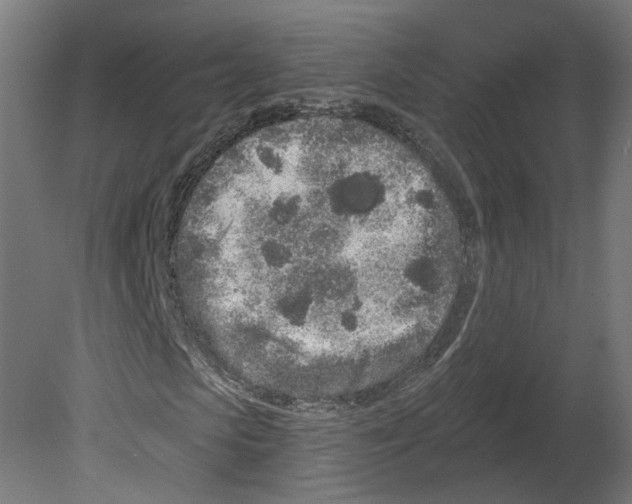 X0000080670913200701121628