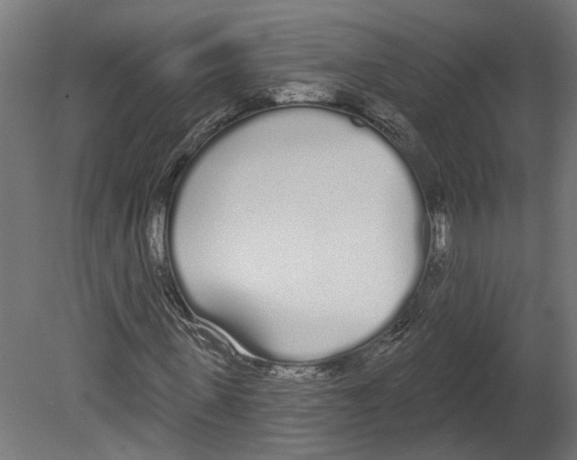 X0000080670915200701121628