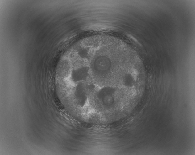 X0000080670917200701121628