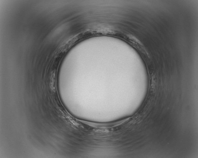 X0000080670919200701121628