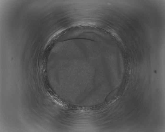 X0000080670920200701121628