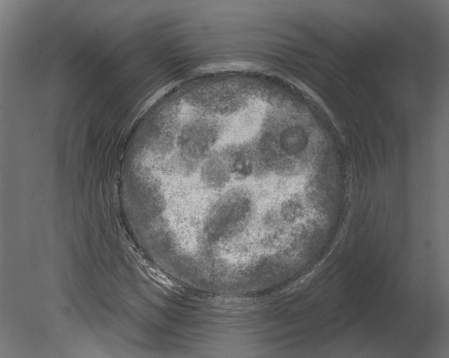 X0000080670921200701121628