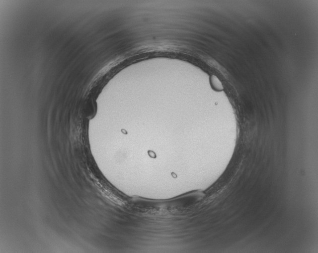 X0000080670922200701121628