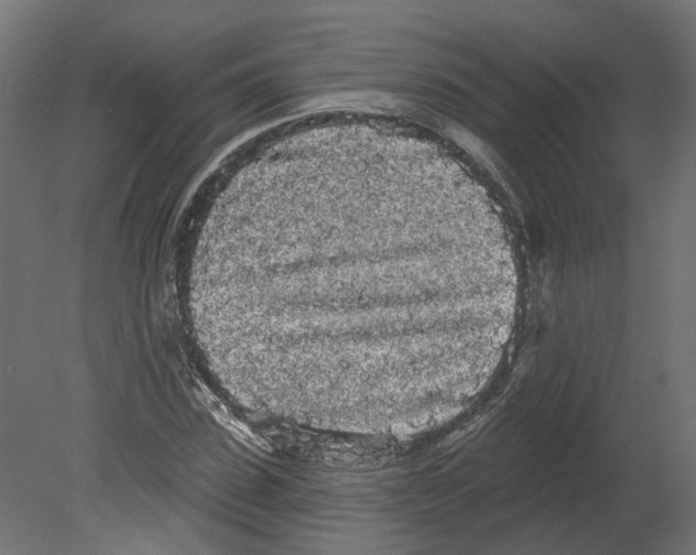 X0000080670923200701121628