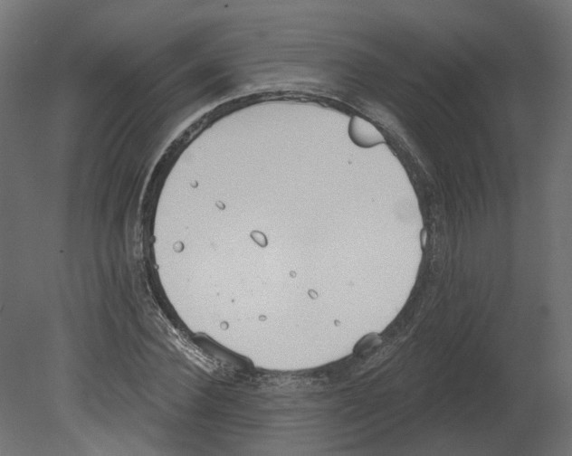 X0000080670924200701121628