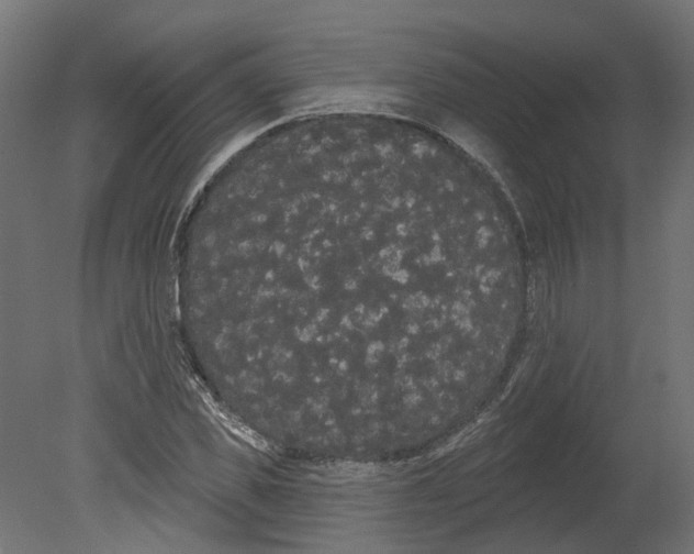 X0000080670925200701121628