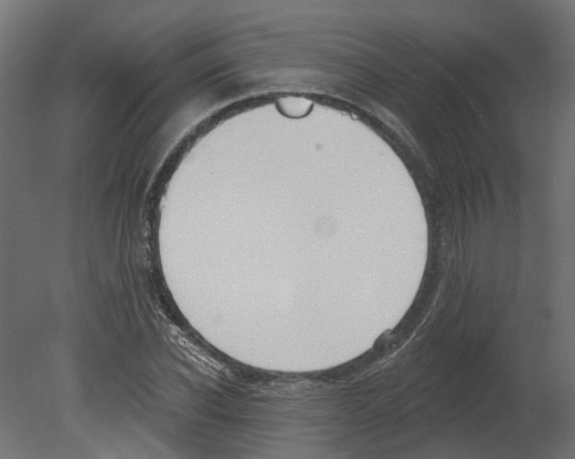 X0000080670926200701121629