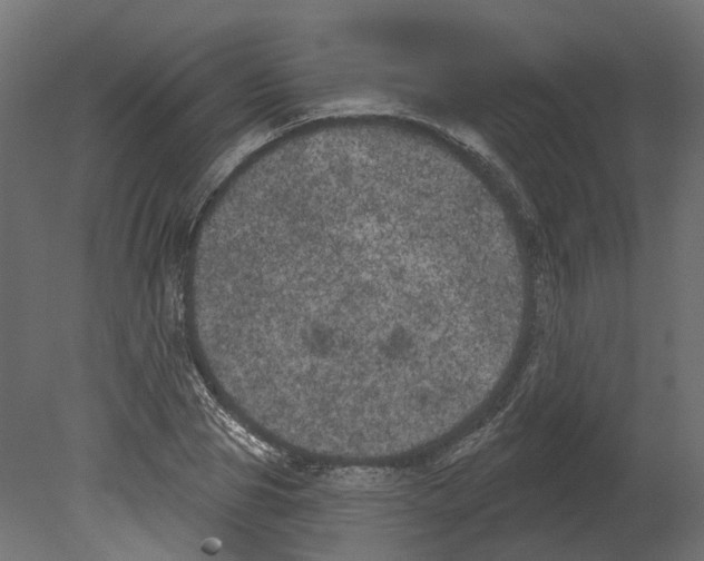 X0000080670929200701121629