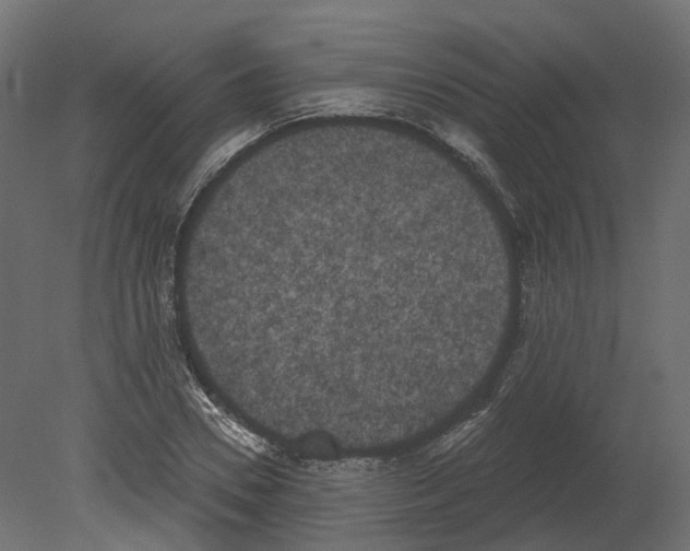 X0000080670930200701121629