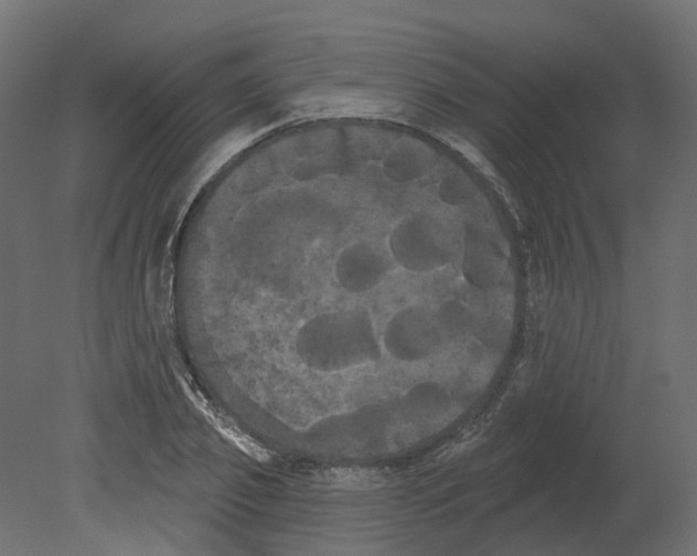 X0000080670933200701121629