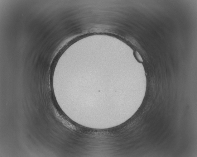 X0000080670934200701121629