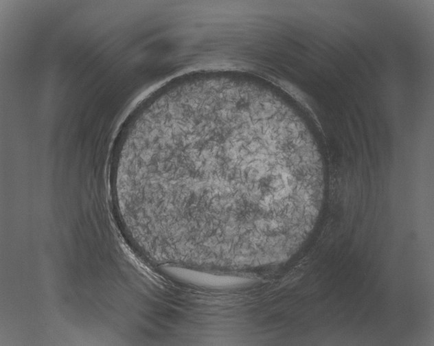 X0000080670935200701121629