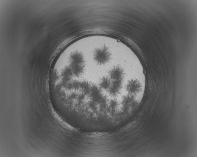 X0000080670938200701121629