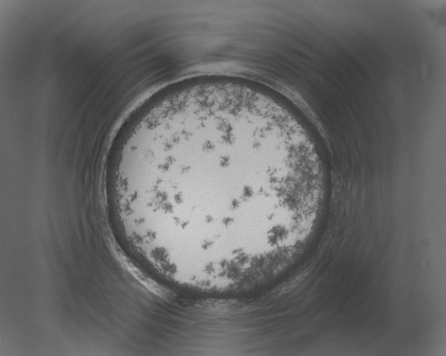 X0000080670939200701121629