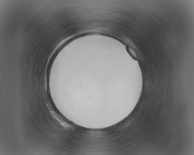 X0000080670940200701121629