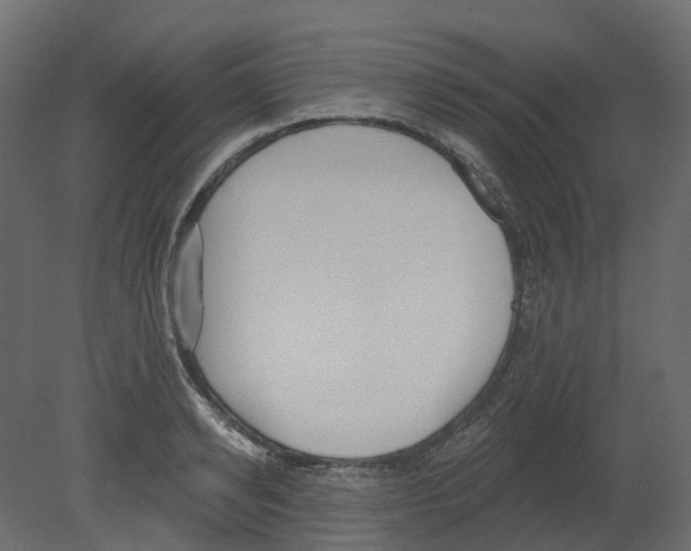 X0000080670942200701121629