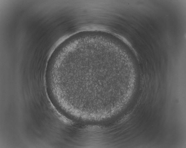 X0000080670943200701121629