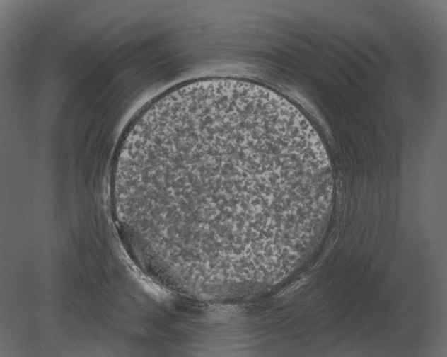 X0000080670944200701121629