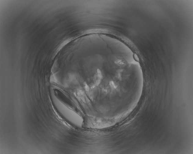 X0000080670945200701121629