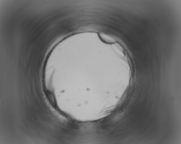 X0000080670949200701121629