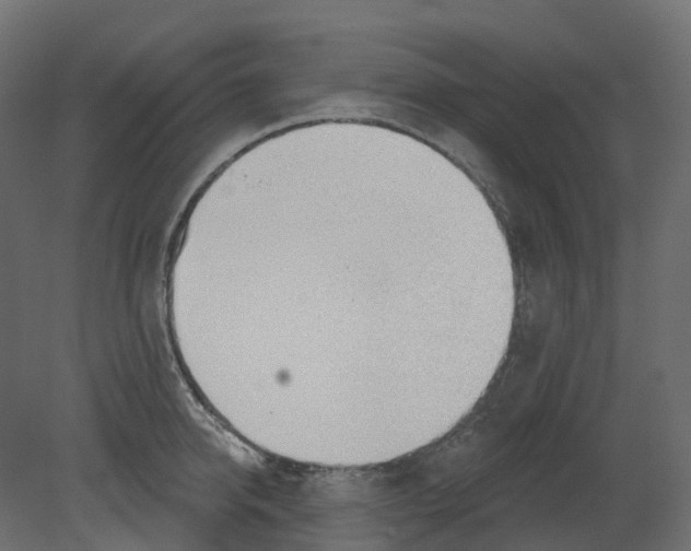 X0000080670950200701121629