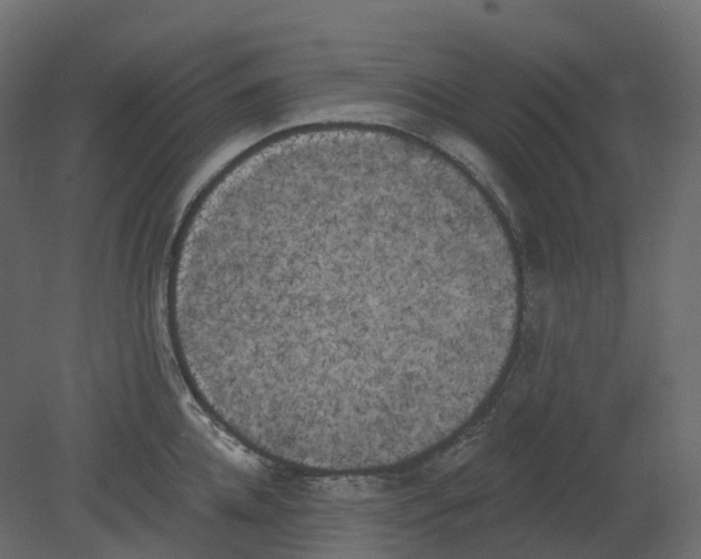 X0000080670952200701121629