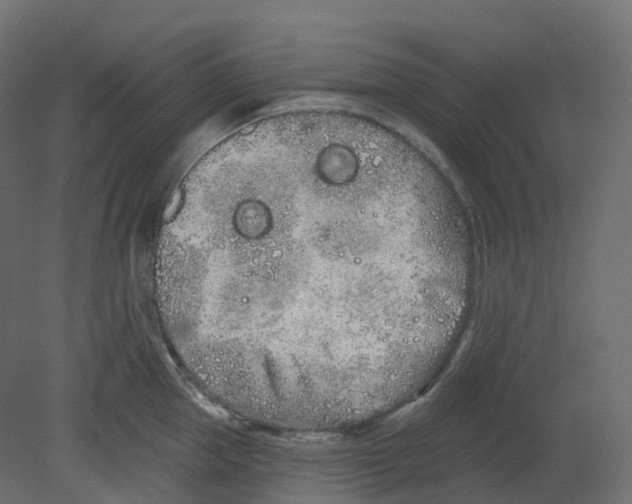 X0000080670953200701121629