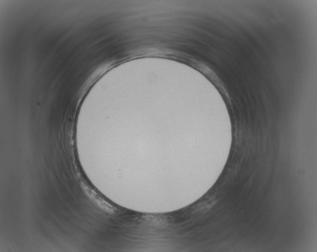 X0000080670954200701121629