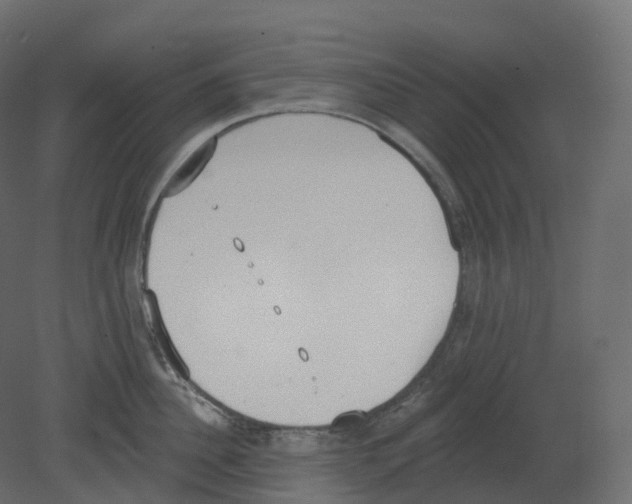 X0000080670956200701121629