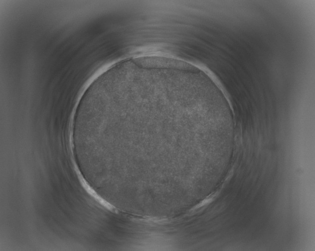 X0000080670957200701121629