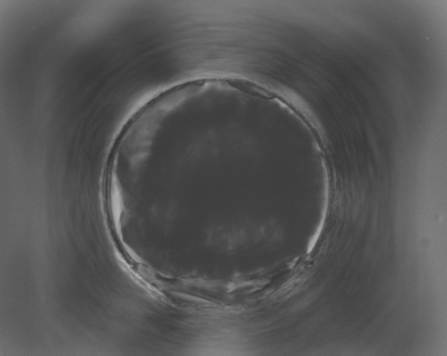 X0000080670958200701121629