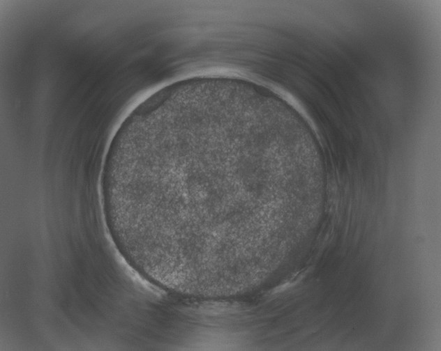 X0000080670959200701121629