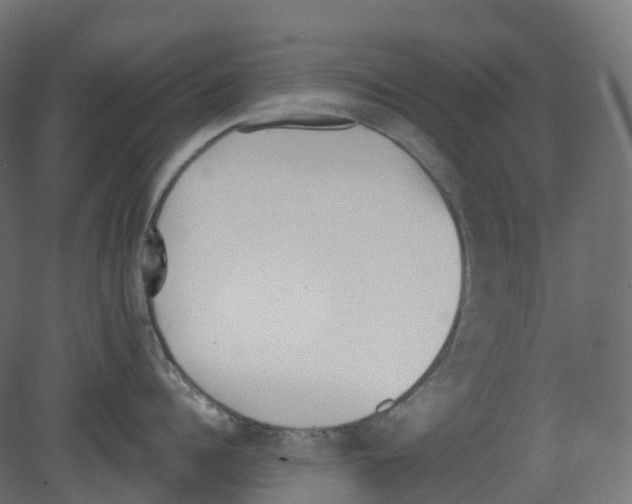 X0000080670960200701121629