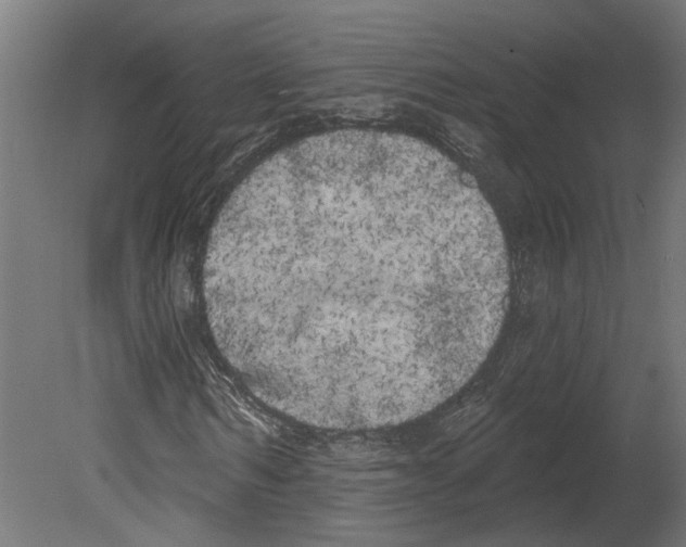 X0000080670962200701121628