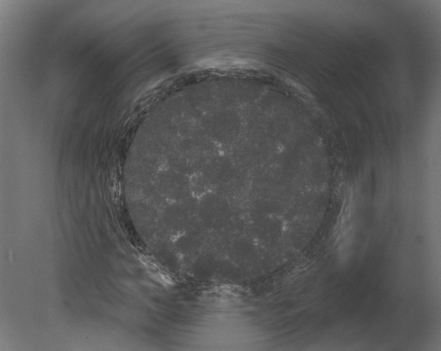 X0000080670966200701121628