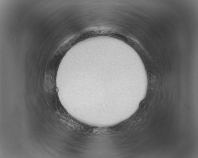 X0000080670967200701121628