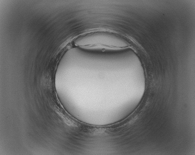 X0000080670969200701121628