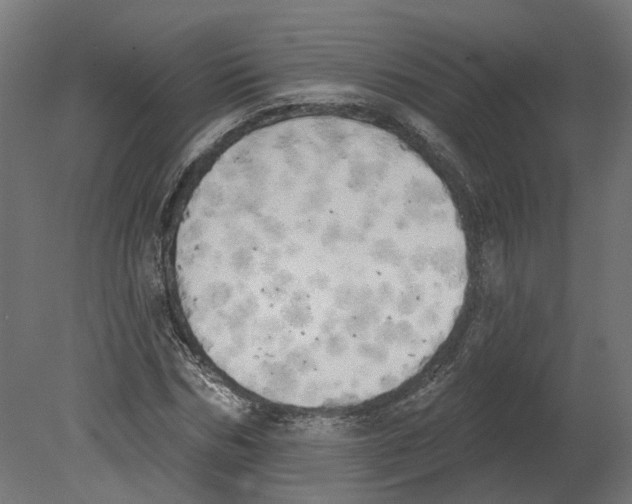 X0000080670970200701121628