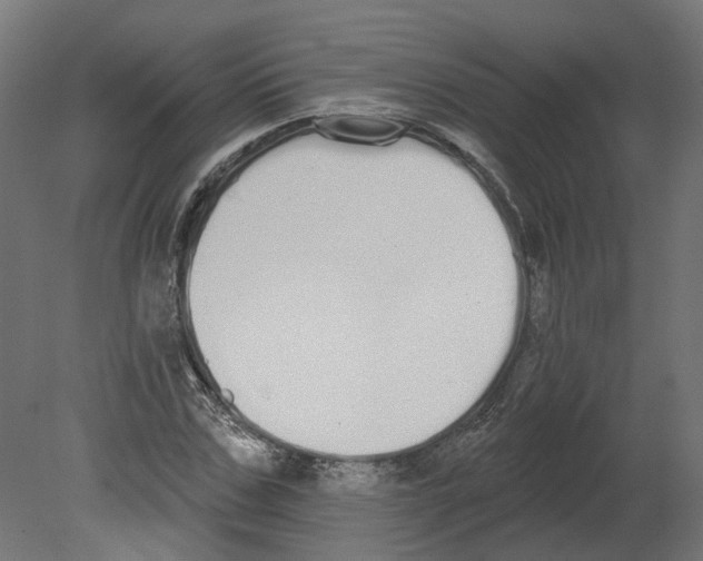 X0000080670971200701121628