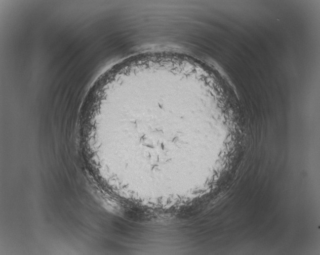 X0000080670975200701121628