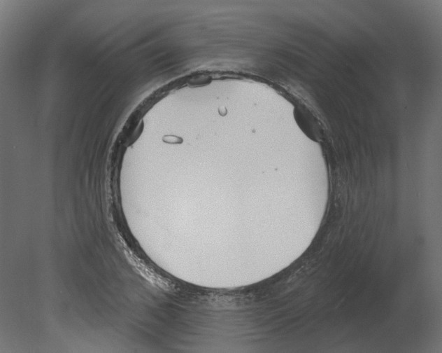 X0000080670976200701121628