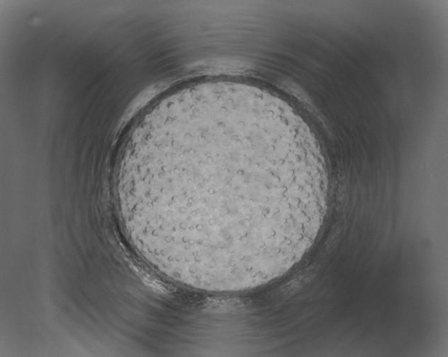 X0000080670978200701121628