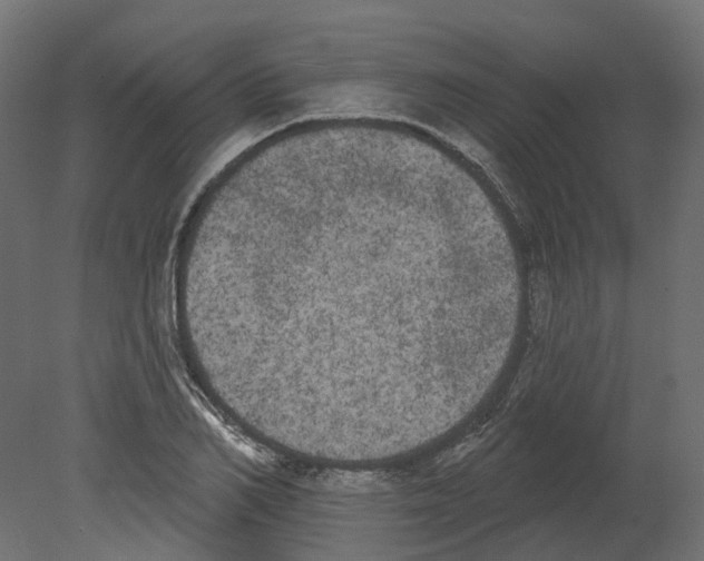 X0000080670982200701121628