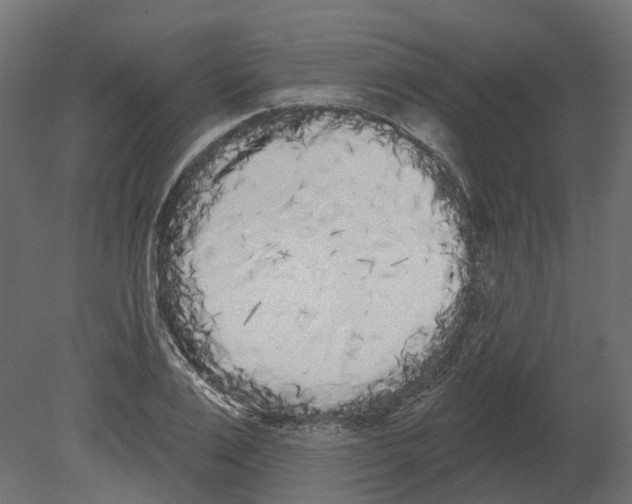 X0000080670983200701121628