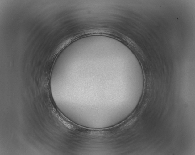 X0000080670985200701121628