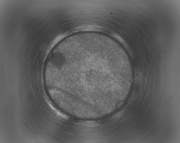 X0000080670986200701121628