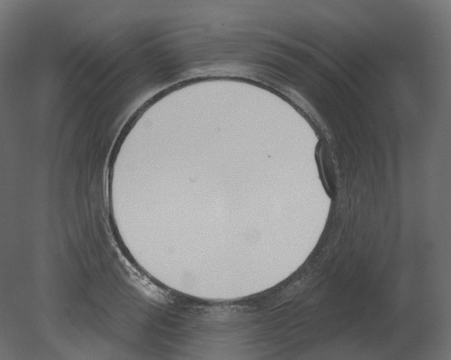 X0000080670988200701121628