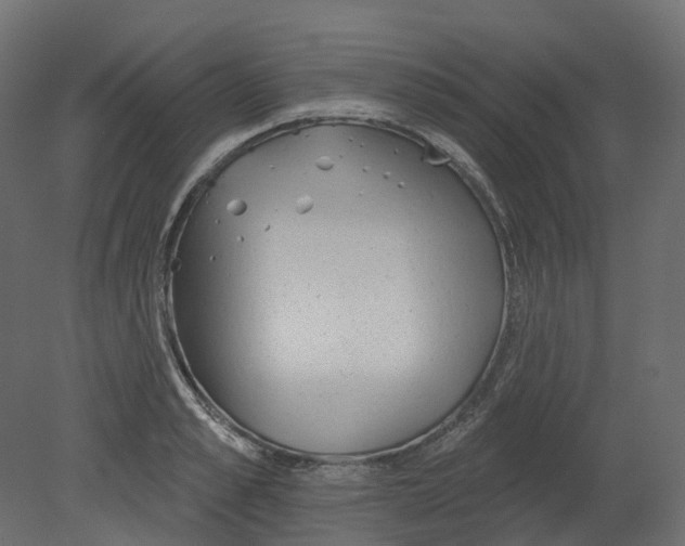 X0000080670989200701121628